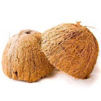Natural Organic Coconut Shell