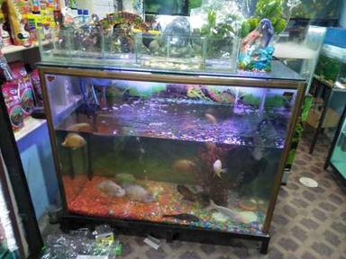 Designer Glass Fish Aquariums