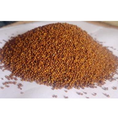 Automatic Red Mustard Seeds