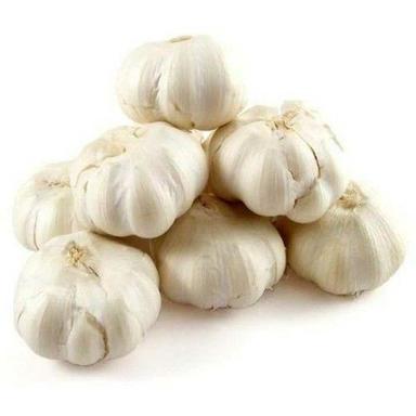 Fresh Pure White Garlic