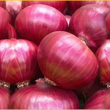 Farm Fresh Red Onion