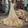 Yellow High Quality Raw Jute