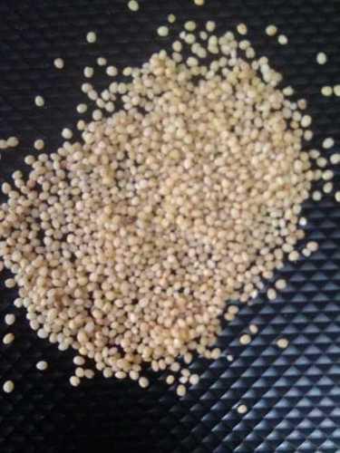 Pure Organic Foxtail Millet