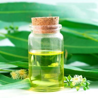 Fresh Natural Eucalyptus Oil