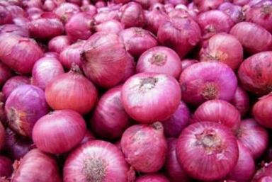 Organic Fresh Red Onion