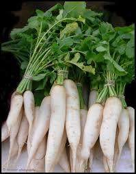 Indian Fresh Radish Vegetable