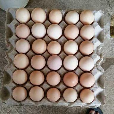 Cobb 430Y Hatching Eggs