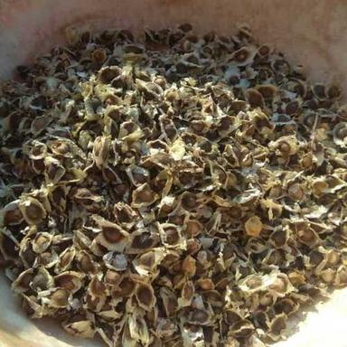 Moringa Seed And Powder