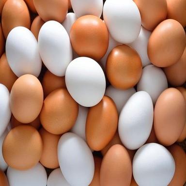 Farm Fresh Table White Eggs, Brown Eggs Egg Origin: Chicken