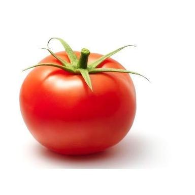 Fine Grade Indian Red Tomato