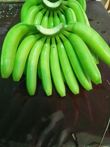 Organic Highly Nutritional Green Banana