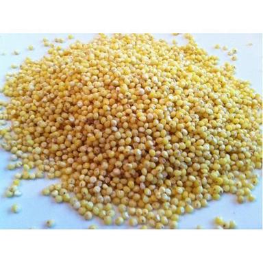 Organic Amaranth Millet