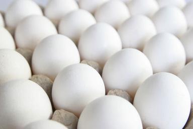 Available In All Colors Fresh White Poultry Eggs