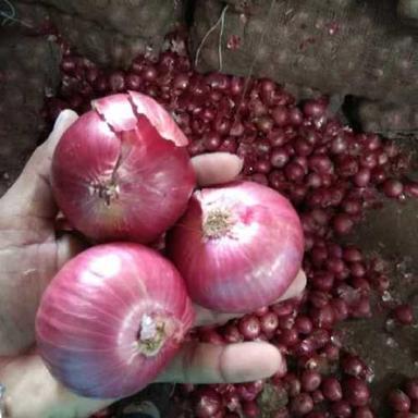 Farm Fresh Red Onion Admixture (%): 5%