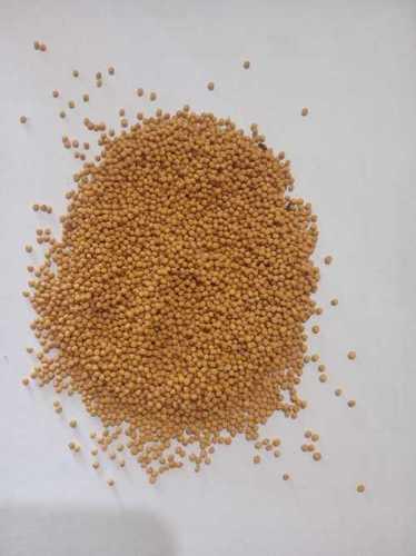 Painted Pure Yellow Mustard Seeds