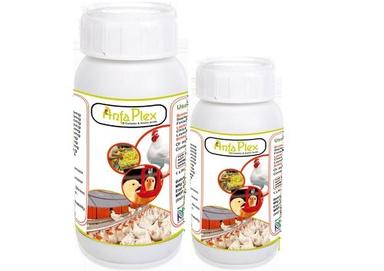Poultry Vitamin B Complex & Amino Acids (Anfaplex)