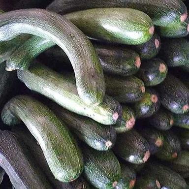 Fresh Green Zucchini