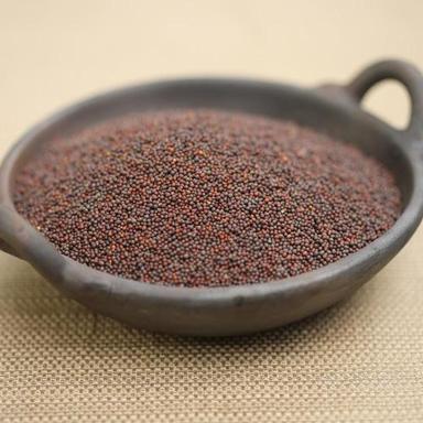 Solid Black Mustard Seeds Grade: A-Grade