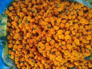 Yellow Natural Fresh Marigold Flower