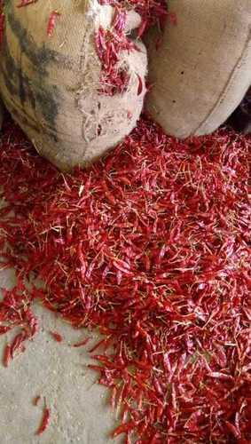 Dry Red Chillies