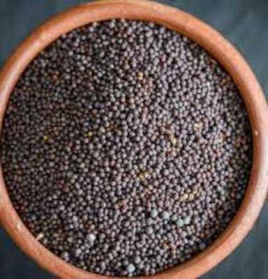 Pure Black Mustard Seeds Purity: 99.9%