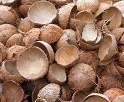 Brown Natural Dried Coconut Shell