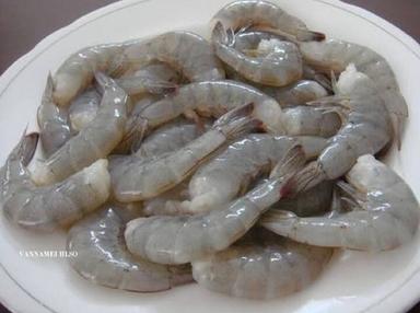 Frozen Vannamei Shrimp Seafood