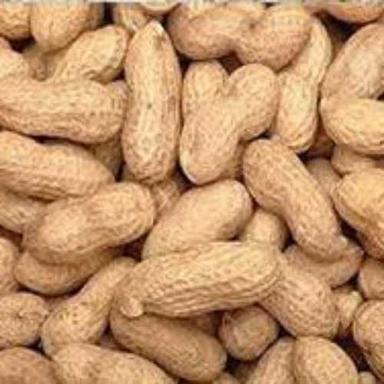 Brown Nutritious Fresh Ground Nut