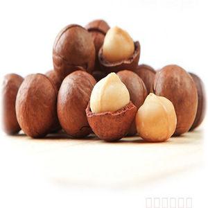 Common Aa Grade Macadamia Nuts