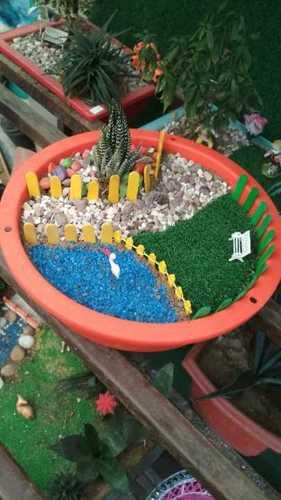 Soothing Effect Tray Garden