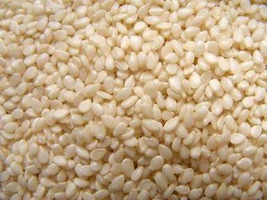 Natural White Sesame Seed