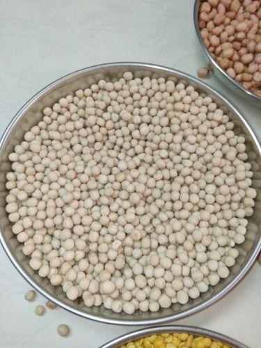 White Highly Nutritious Pea Beans