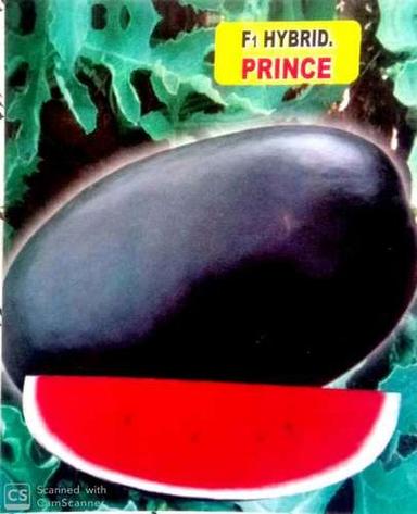 Black Watermelon F1 Hybrid Prince Seed