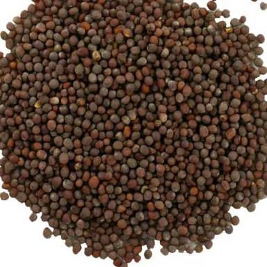 Spice Best Quality 100% Natural Black Mustard Seeds