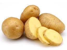 Oval Medium Size Fresh Potato