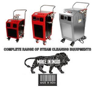 Environment Friendly Steam Cleaning Machine Age Group: Adults