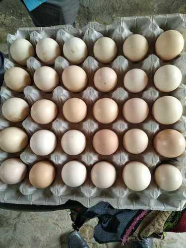 Black Kadaknath Chicken Eggs Egg Size: Vary