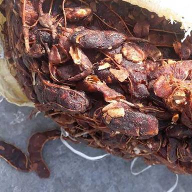  Pure Tamarind With Seed