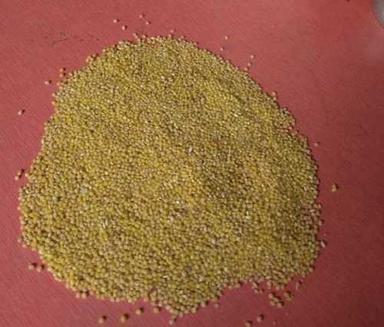 Common Foxtail Millet Rice