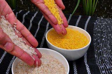 Yellow High In Protein Golden Rice