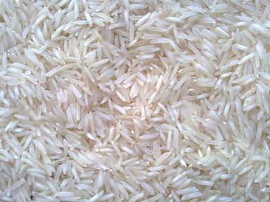 Common Pusa White Basmati Rice