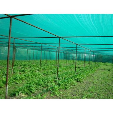 Agriculture Green Hdpe Shade Net Greenhouse Size: Large