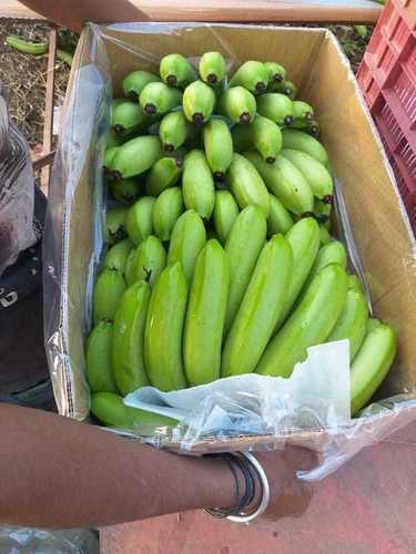 Common Good Taste Green Banana