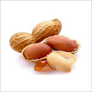 Indian Peanut