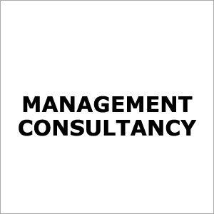 Management Consultancy