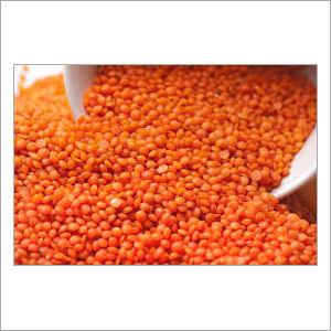 Red Lentil Load Capacity: 100  Kilograms (Kg)