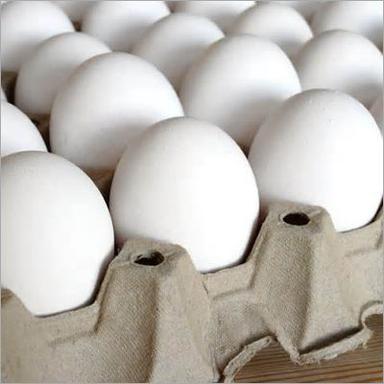 पोल्ट्री अंडे आयु समूह: सभी उम्र के लिए उपयुक्त