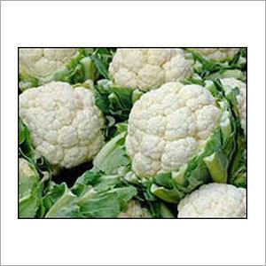 Fresh Cauliflower