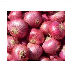 Red Onion