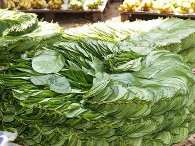 Betel leaves